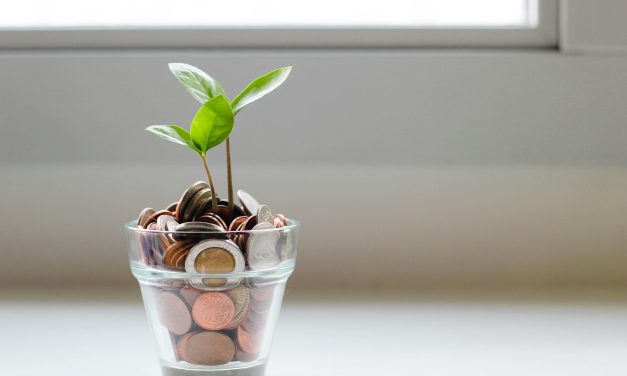 The Crop That Quietly Became More Profitable